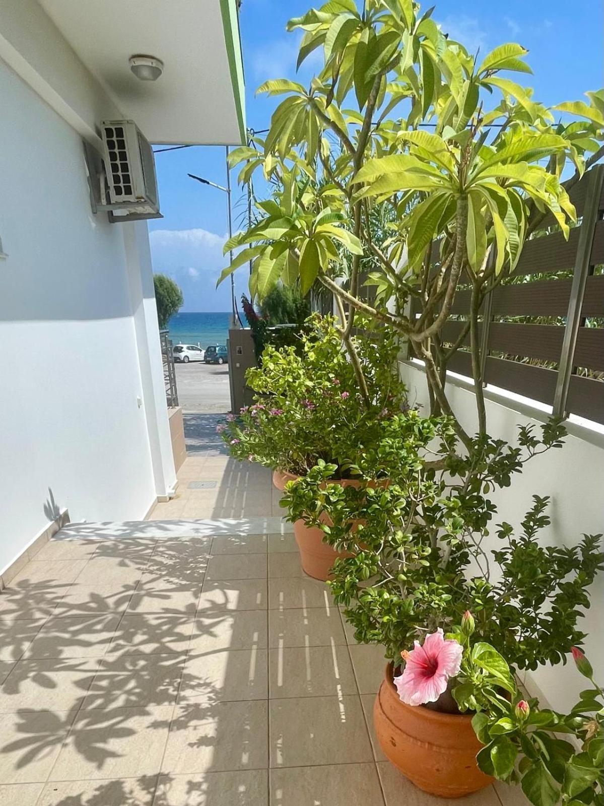Red Hibiscus Stegna Guest House Archangelos  Bagian luar foto